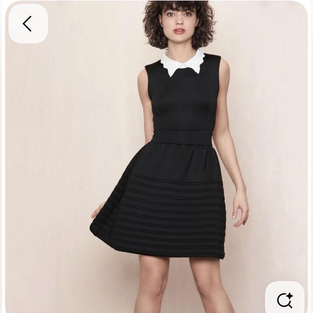 Maje Black Sleeveless Dress with White Collar